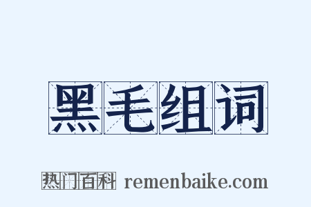 黑毛组词是什么意思的图片